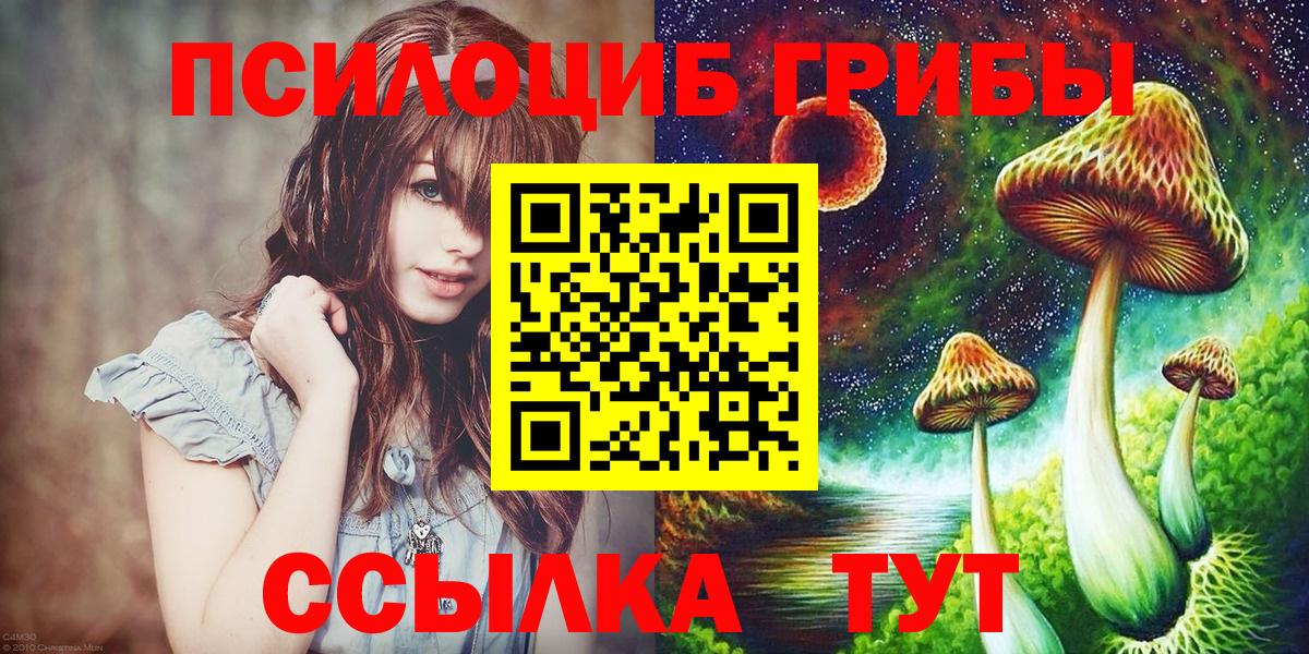 Псилоцибиновые грибы мицелий Ялуторовск