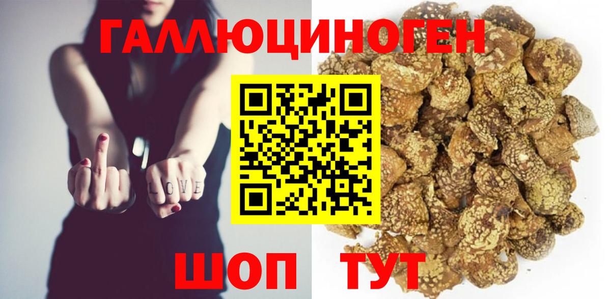 Галлюциногенные грибы Psilocybe  Галлюциногенные грибы MAGIC MUSHROOMS  Вход с VPN  Ялуторовск 